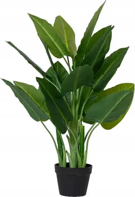 Image de Plante décorative artificielle en pot 88x50cm Vert