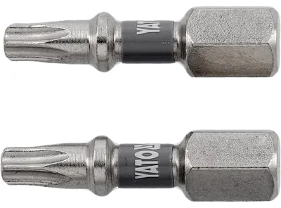 Immagine prodotto di Inserti TORX T20, 25 mm, set da 2 pezzi, acciaio S2