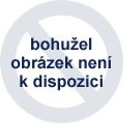 Zdjęcie produktu dla Słuchawki TWS Baseus Bowie WM01 (czarne)