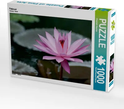 Produktbild von Calvendo Februar 1000 Teile Puzzle quer 640x480mm, Stephan Elisabeth; 7391128