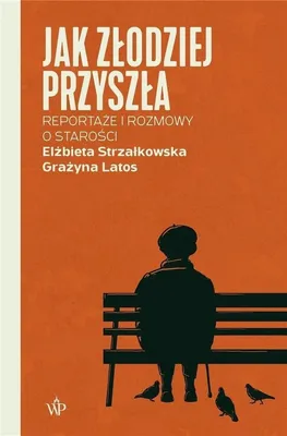Zdjęcie produktu dla Jak zlodziej przyszla