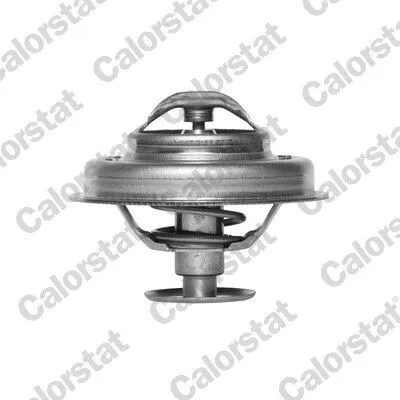 Produktbild von CALORSTAT by Vernet Thermostat + Dichtung