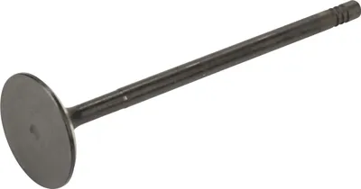 Produktbild von Einlassventil 55215126