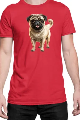 Produktbild von Herren T-Shirt Dogs Breeds Pug Dog Breed 007, Man L / Rot