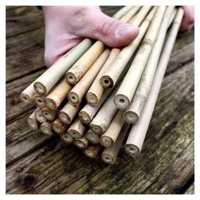 Produktbild von 25 Bambusstäbe - 152 cm lang, Durchmesser 10-12 mm