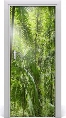 Produktbild von Tulup Türaufkleber 85x205 cm Dekorative Aufkleber Selbstklebend Wasserdichte Tapete Abnehmbar Schlafzimmer Wohnzimmer Wohnkultur - Regenwald