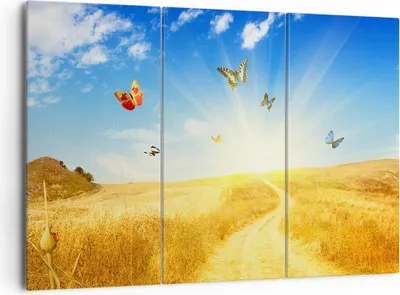 Produktbild von Bild auf Leinwand - Leinwandbild - Schmetterlinge Wiese Gras - 165x110cm - Wand Bild - Wanddeko - Leinwanddruck - Bilder - Kunstdruck - Wanddekoration - Leinwand bilder - Wandkunst - CE165x110-0517