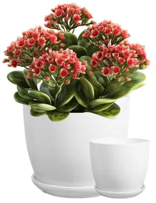 Obrázek produktu pro Keramický květináč s podstavcem bílý 21 cm