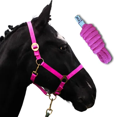 Produktbild von Halfter für Pferde mit Strick - Größe Warmblut, Full, Führstrick 2m mit Panikhaken - Farbe pink
