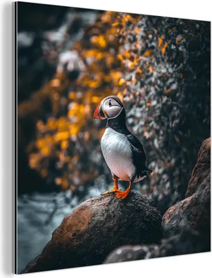 Produktbild von MuchoWow Wanddekoration Metall Metallbild Wandkunst 20x20 cm Papagei - Vogel - Felsen - Weiß MuchoWow Aluminium Gemälde - Alu Dibond Bilder