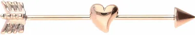 Produktbild von Zungenpiercing, Intim-Piercing Chirurgenstahl Industrial Ohrpiercing PFEIL + HERZ