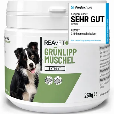 Produktbild von REAVET Grünlippmuschel Extrakt Pulver 250g für Hunde & Katzen | Grünlippmuschelpulver Hund, Grünlippmuschelextrakt hochdosiert nach behandelter Arthrose, Arthritis - Barf Futterzusatz