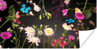 Produktbild von MuchoWow® Poster Stillleben - Farben - Blumen 120x60 cm - Bild
