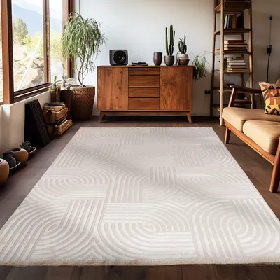 Zdjęcie produktu dla Carpetsale24 Dywan Boho Salon Nowoczesny Styl Skandynawski Jednokolorowy Wzór Uni Dywan Sypialnia Rozmiar 240x340 cm