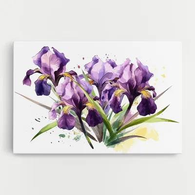Produktbild von ARTHUB® Leinwandbild 20x30 cm, Watercolor Purple Iris | Wohnzimmerdekoration, Hängende Bilder, Wanddekoration, Heimdekoration, Blumen, Iris