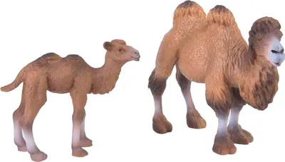 Zdjęcie produktu dla 2 sztuki miniaturowych figurek zwierząt, model zabawki, wysoka szczegółowość symulacji na prezenty imprezowe kreatywne gry