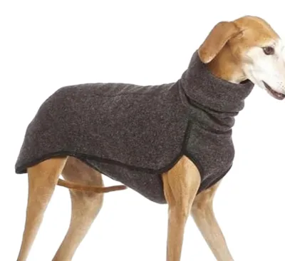 Image de Vêtements tendance pour petits chiens, respirants et confortables