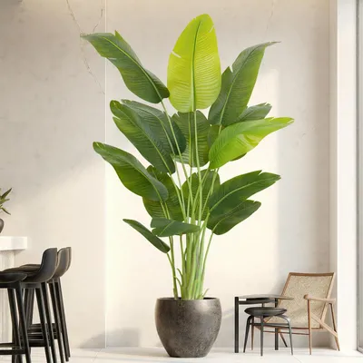 Produktbild von Künstliche Paradiesvogelblume, 200 cm hoch, große künstliche Pflanze mit 15 Bananenblättern, realistische künstliche Pflanze im weißen Topf zur Dekoration von Zimmern, Büros, Schlafzimmern, Badezimmern, Gärten und Balkonen.