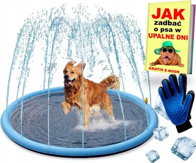 Obrázok produktu pre Bestway 52699, Kolo, Polyvinylchlorid (PVC), Čierna, Modrá, Biela, Žltá
