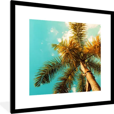 Produktbild von MuchoWow® Gerahmtes Poster Palme - Sommer - Tropisch 40x40 cm - Poster mit Schwarzem Bilderrahmen Wandposter Rahmen Foto Bilder - Poster - Plakat im Rahmen