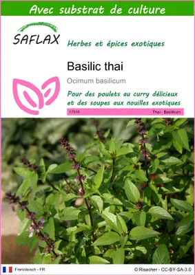 Image de SAFLAX  - Basilic thai - 200 graines - Avec substrat - Ocimum