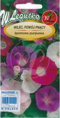 Obrázek produktu pro Semena Směs rostlin Popínavá rostlina 5 g