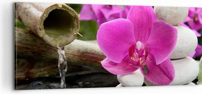 Produktbild von Bild auf Leinwand - Leinwandbild - Orchidee Bambus Dekoration Spa - 100x40cm - Wand Bild - Wanddeko - Leinwanddruck - Bilder - Kunstdruck - Wanddekoration - Leinwand bilder - Wandkunst - AB100x40-2666