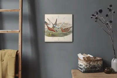 Produktbild von Coloray Hodiny Unikátní 30x30 cm  Tiché hodiny Pro obývací pokoj a kuchyň Nástěnné hodiny Plátno Bílé ručičky hodin - Ptáci zvířata