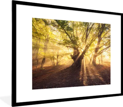 Produktbild von MuchoWow® Gerahmtes Poster Baum - Wald - Sonne 80x60 cm - Poster mit Schwarzem Bilderrahmen Wandposter Rahmen Foto Bilder - Schlafzimmer-Dekorationen - Fotoposter