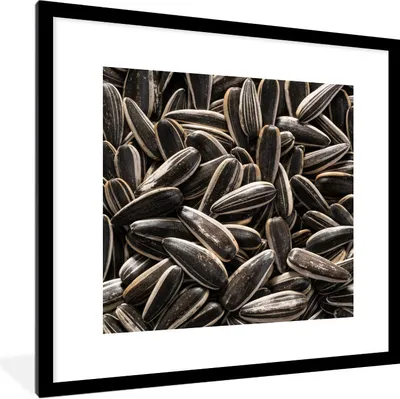 Produktbild von MuchoWow® Gerahmtes Poster Nahaufnahme von schwarzen Sonnenblumenkernen 40x40 cm - Poster mit Schwarzem Bilderrahmen Wandposter Rahmen Foto Bilder - Poster - Plakat im Rahmen