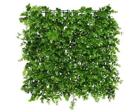 Produktbild von Künstliche Pflanzen Wand Eukalyptus 50x50cm grün