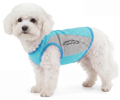 Produktbild von Hundekleidung für kleine Hunde mit UV-Schutz und Belüftung