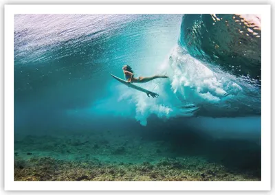 Produktbild von Poster - Poster ohne Rahmen - Surfen Unterwasser Frau - 100x70 cm - Wand Bild - Wanddeko - Wandbilder - Kunstposter - Wandposter - Bilder - Kunstdruck - Wanddekoration - Wandbild - P2XAA100x70-4898