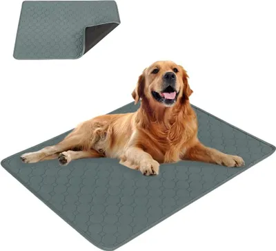 Image de Tapis hygiénique pour chiens, lavable, 60x45 cm, absorbant, adapté aux chiens et aux chats