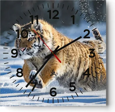 Produktbild von Wanduhr - Quadrat - Glasuhr - tiger tier - 30x30cm - Schleichendes Uhrwerk - Lautlos - zum Aufhängen bereit - Dekoration Modern - Wanddekoration aus Glas - C4AC30x30-3928