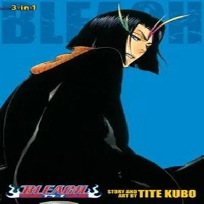 Obrázok produktu pre Bleach (3-in-1 Edition), Vol. 13