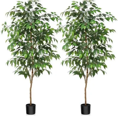 Image de Grand ficus de 150 cm avec tronc en bois pour la maison