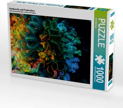 Produktbild von Calvendo Hartkoralle und Fadenstern 1000 Teile Puzzle quer 640x480mm, Meutzner Dirk; 7312416