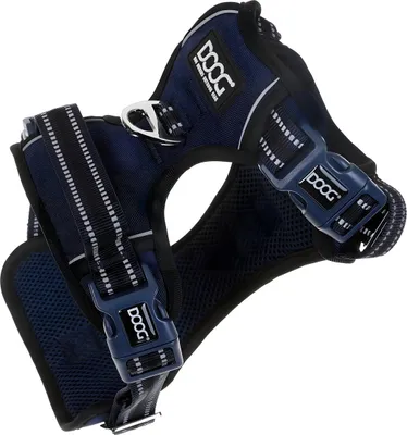 Produktbild von DOOG Neotech Geschirr navy, Größe: XL