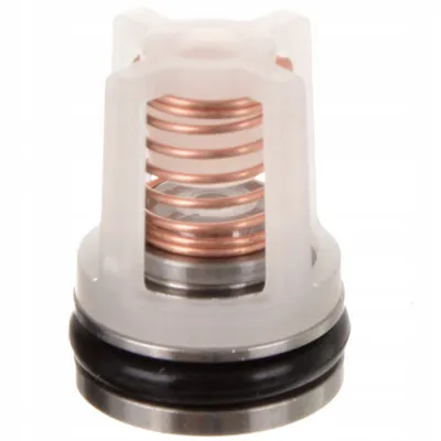 Zdjęcie produktu dla Zawór zaworek chemii do Karcher HDS 695 895 558 650 655 798 698 (4.580-349.0)