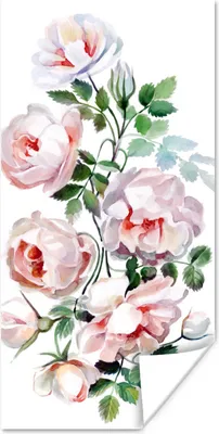 Produktbild von MuchoWow® Poster Aquarell - Rosen - Blumen 20x40 cm - Plakat - Foto