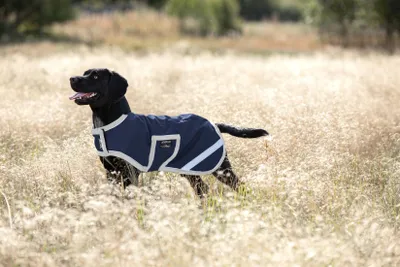 Produktbild von Horseware Amigo Ripstop Dog Rug Hundemantel 100g Navy/Silver, Größe:Medium
