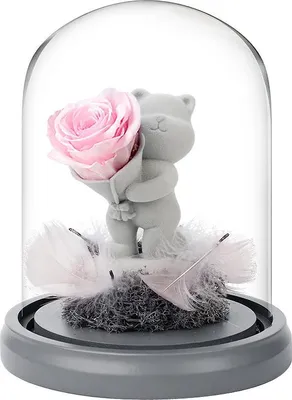 Produktbild von Geständnisbär mit konservierten Rosen in Glasglocke – Geschenk zum Valentinstag, Muttertag oder Geburtstag,pink