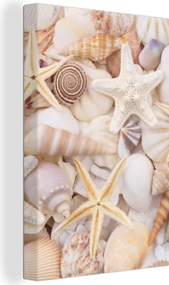 Produktbild von MuchoWow® - Leinwandbilder - Seestern - Muscheln - Strand - Sommer, Wandbild, Wanddeko Bilder Wohnzimmer, 80x120 cm