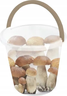 Produktbild von Haushaltseimer mit Henkel, Pilzmuster, 10 l