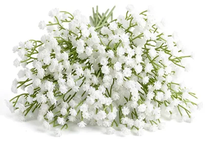 Produktbild von Künstliche Schleierkraut-Blüten - 12 Stück - Zur Tischdekoration und für Blumenarrangements - Weiß - 28 cm
