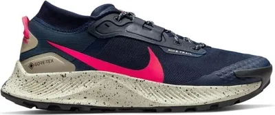 Produktbild von Nike Schuhe Pegasus Trail 3 Gtx, DC8793401