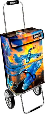 Obrázok produktu pre Nákupný vozík James - KINGFISHER - robustný nákupný vozík s individuálnym dizajnom - jednofarebný: modrý v prevedení: Chrome19