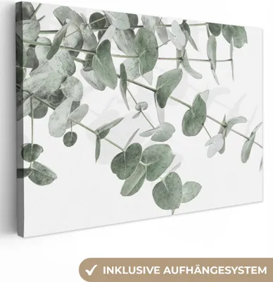 Obrázok produktu pre MuchoWow® - Plátno - Eukalyptus - Listy - Príroda - Zelená, nástenný obraz, nástenné dekorácie obrazy obývacia izba, 30x20cm