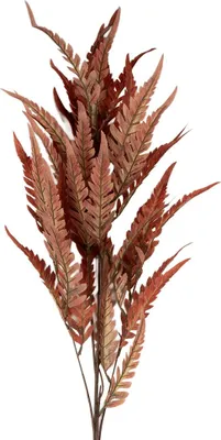 Immagine prodotto di Clayre & Eef Ramo di decorazione 98 cm Arancione Plastica